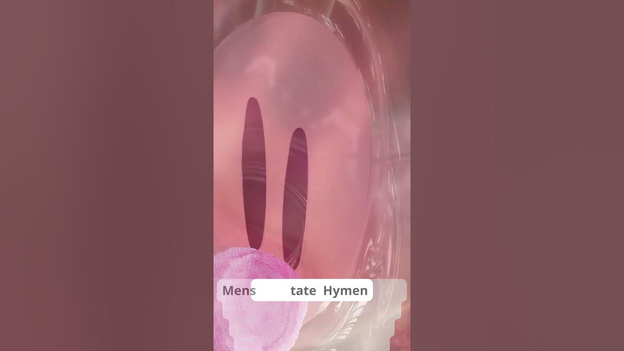 The hymen#shorts The hymen#shorts