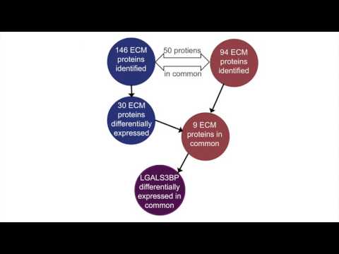 Using proteomics to