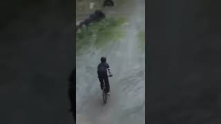 Celebrity HIS WHEEL EXPLODED⚠️ | Insane BIKE FAIL! Net Worth