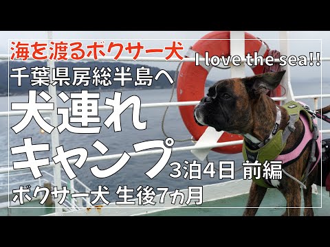 【大雨？キャンプ】ボクサー犬 子犬と行く今年最後の犬連れキャンプ前編 富津金谷オートキャンプヒルズのドッグランサイト