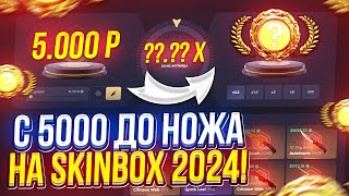 :  5000    SKINBOX 2024!  1      !?