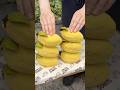 日本初！レモンのようなレモンドーナツ🍋