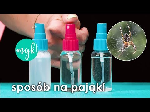 Wideo: Jak zrobić domową pułapkę na pająki?