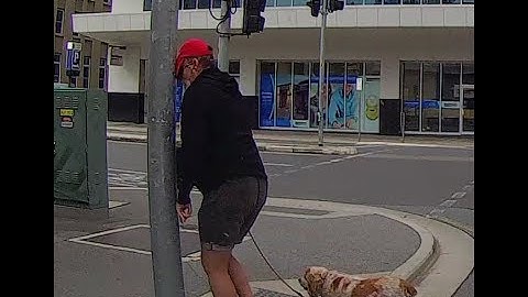 Angry pedestrian gets instant karma