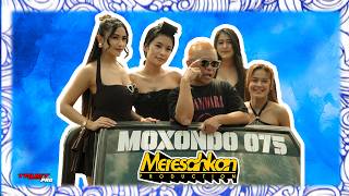 INUL SAFARA EGO WONG TUO MERESAHKAN PROD MOXONDO 075
