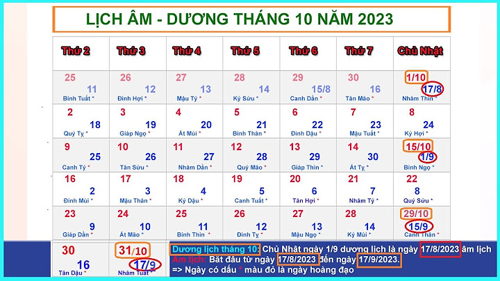 Lịch dương năm 2023 có bao nhiêu ngày năm 2024