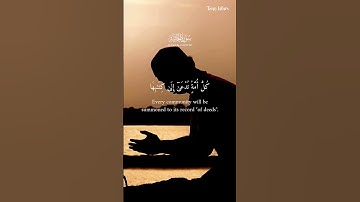 Surah Al Jathiyah | سورة الجاثية | Ayah 28 | Mishary Rashid Alafasy | Tour Islam #quran #surah