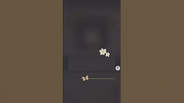 القـارئ أدهم النابلسي 