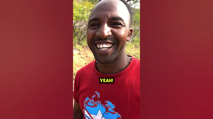 The Best Part Of A Baboon!