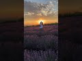 DJ selestial | Hasta La Luna #dancemusic #viralmusic #romanticmusic #romantic #lovesong