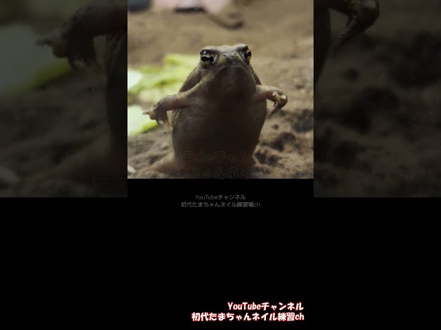 Wvynqdfddpqvdm