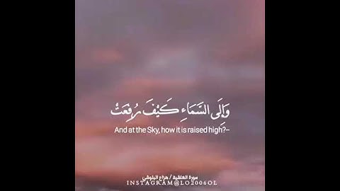 ~أَفَلَا يَنظُرُونَ إِلَى الْإِبِلِ كَيْفَ خُلِقَتْ~ القارئ هزاع البلوشي