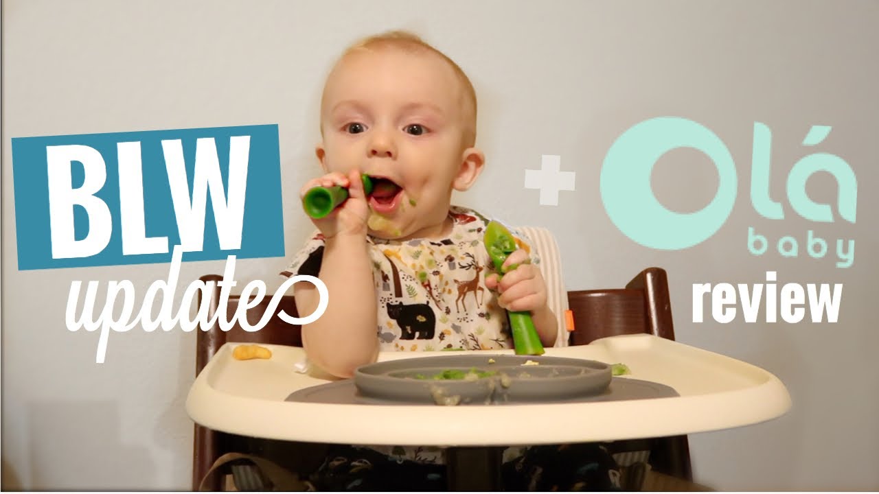 Baby led weaning 6 meses