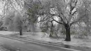Ice Covered Tree Falling