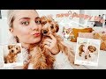 A Day in the Life With a NEW PUPPY!!! | Aspyn Ovard