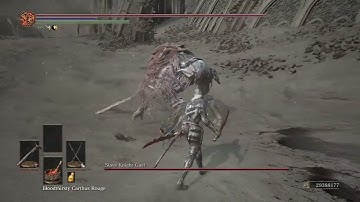 [111 Builds] Vileblood vs Gael (Dark Souls III: Cinders Mod)