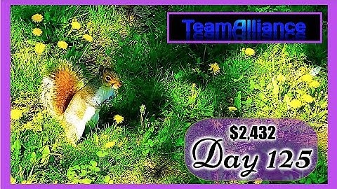 ➡️ $2,432 Made in 125 DAYS with NADEX Binary Options | #TeamAlliance