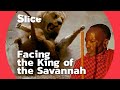 How men get along with the king of animals | SLICE