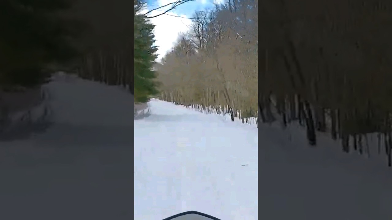 Pro S 800 Switchback 137 