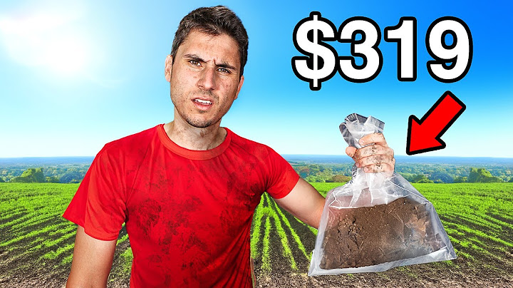 I Bought the World's Most Expensive Dirt!