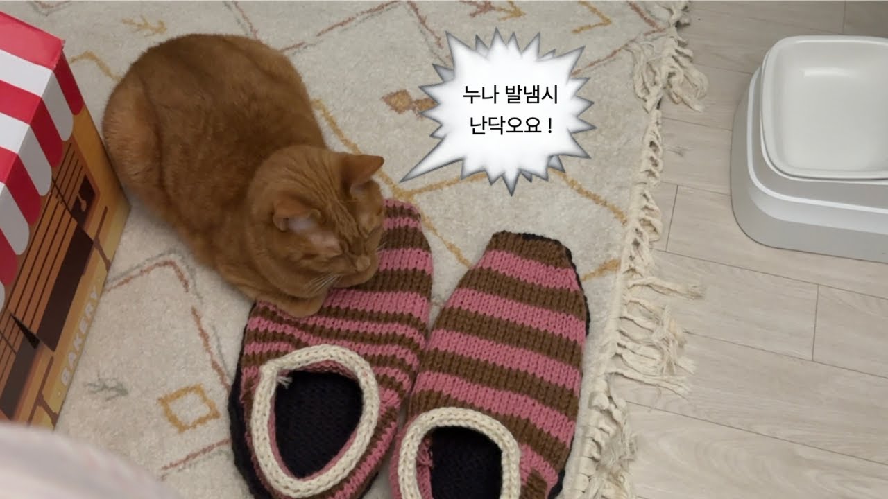 04 다이소 산 딸기초코 : 세일러 슬리퍼  ⎸  뜨개로그