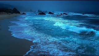 Chill by the Sea | Relaxing Ocean Ambience for Study & Rest