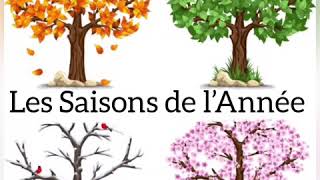 LES SAISONS DE L’ ANNÉE 🍁❄️🌺☀️