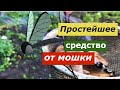 Простейшее средство от мошки, комаров и слепней в огороде и на природе!