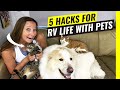 RV LIFE with Pets! 5 Hacks for Traveling with DOGS & CATS