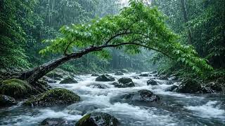 The beautiful little river is raining(192) , sleep, relax, meditate, ASMR, Real Shot