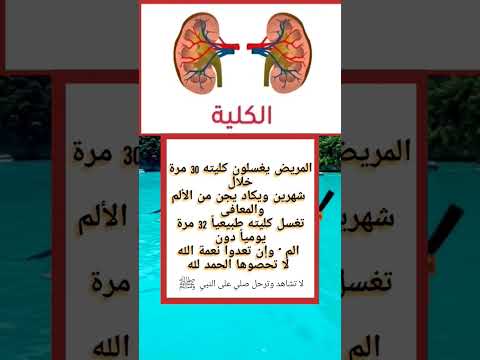 الكليةالمريض يغسلون كليته 30 مرة خلال شهرين ويكاد يجن من الألم اكسبلور  لايك المغرب العراق
