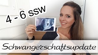 4-6 weeks pregnant / 1 pregnancy update / gynecologist appointment