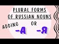 PLURAL Forms of Russian NOUNS Part 2 - &quot;-А&quot;, &quot;-Я&quot; Endings