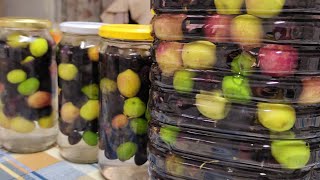 Curtir azeitonas forma simples sem necessidade de mudar a agua