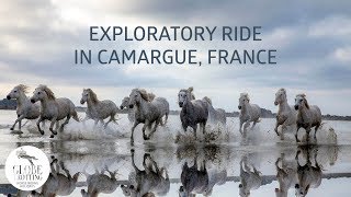 Exploratory Camargue Ride | Horse Riding Holidays in France | Globetrotting