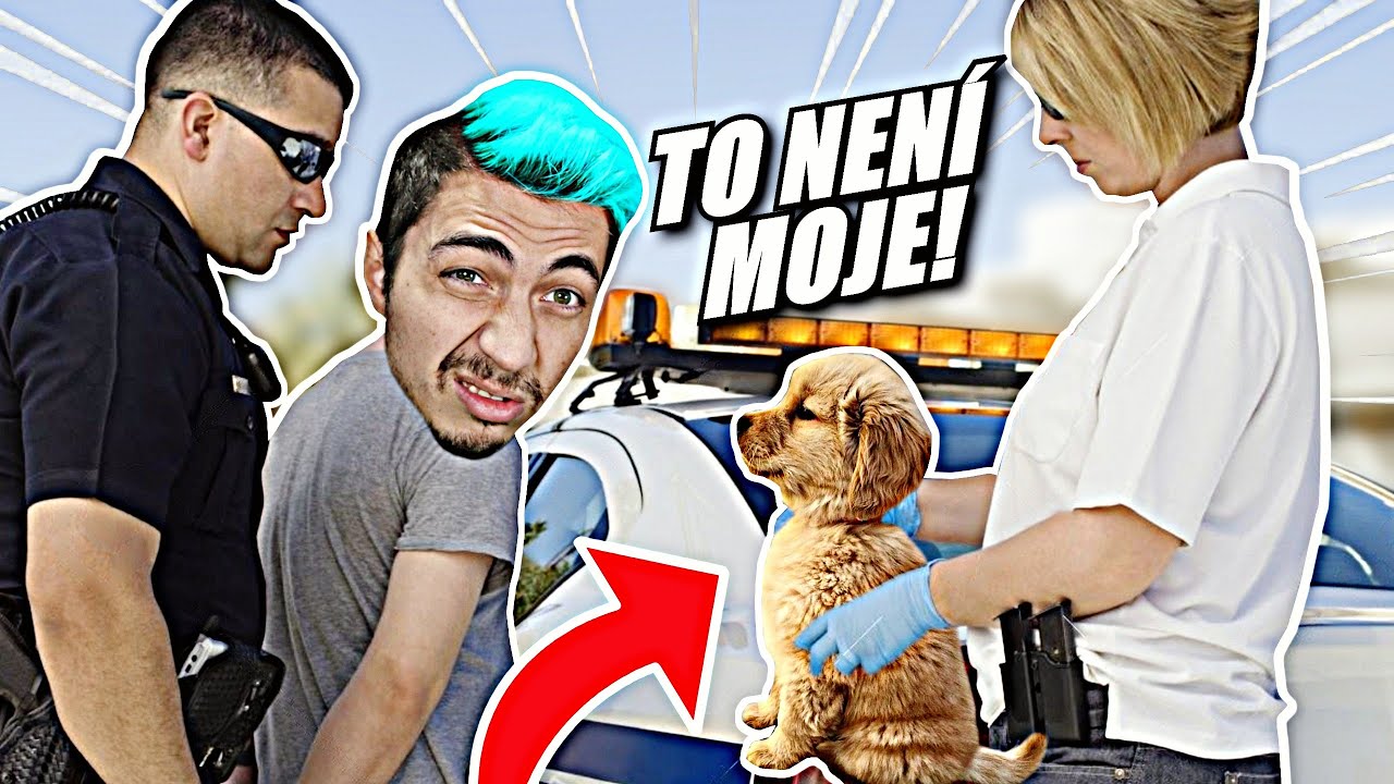 POLICAJTI NÁS NEMAJÍ RÁDI!!!|GTA V:RP/w@DejvikGOD - NE-NORMÁLNÍ RP|