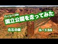 【化石の森国立公園】アメリカツーリングバイク動画。お勧めツーリングコース。