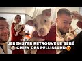 Jeremstar retrouve le bb chien des pellissard