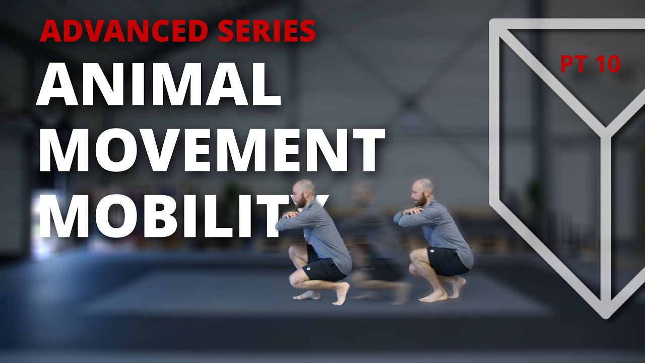 Try these Movement Drills if you're busy - 20 Minute follow along