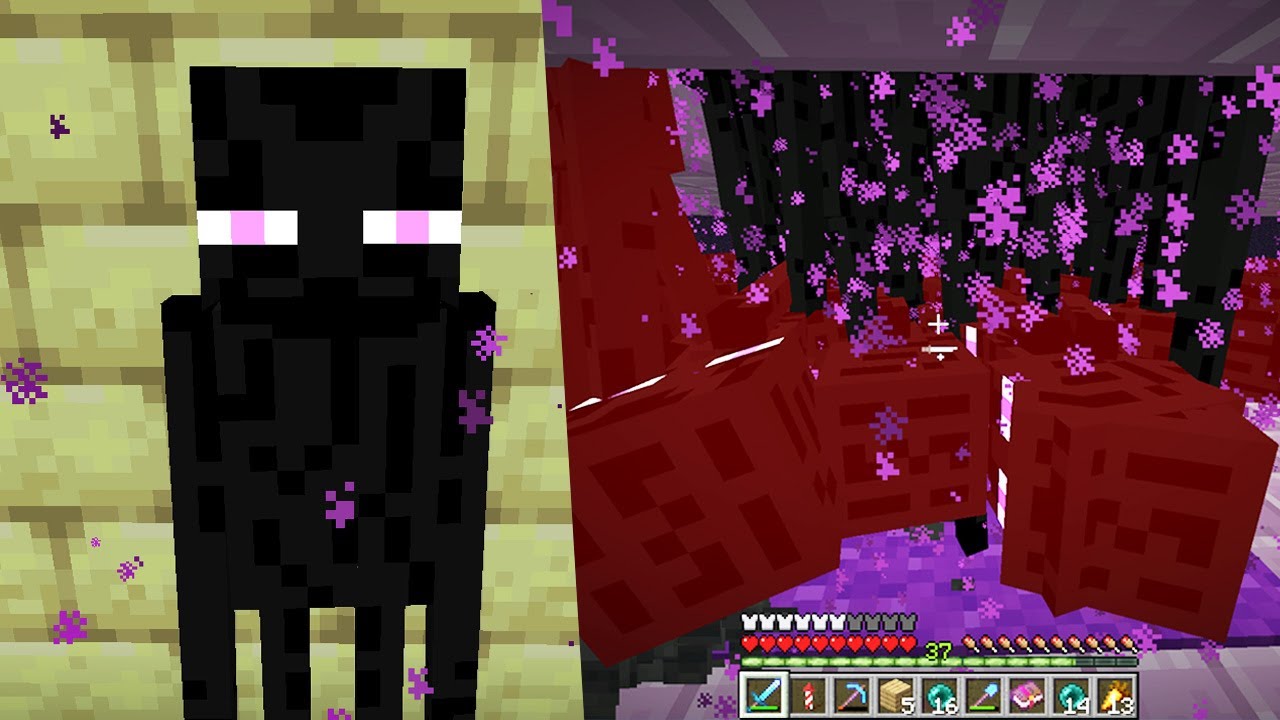 EXPERIENCIA INFINITA EN MINECRAFT