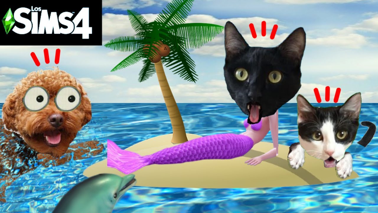 24 horas sirena en los SIMS 4 con gatitos Luna y Estrella ¿cómo ser sirenita? / Videos de gatos