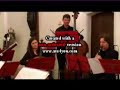 Dvorak :Serenade d-moll Op.44-1.Satz/2.Satz anfang