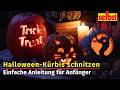 Halloween-Kürbis schnitzen: Die besten Tipps für Einsteiger