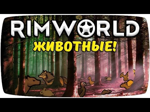 Видео: Животные Rimworld
