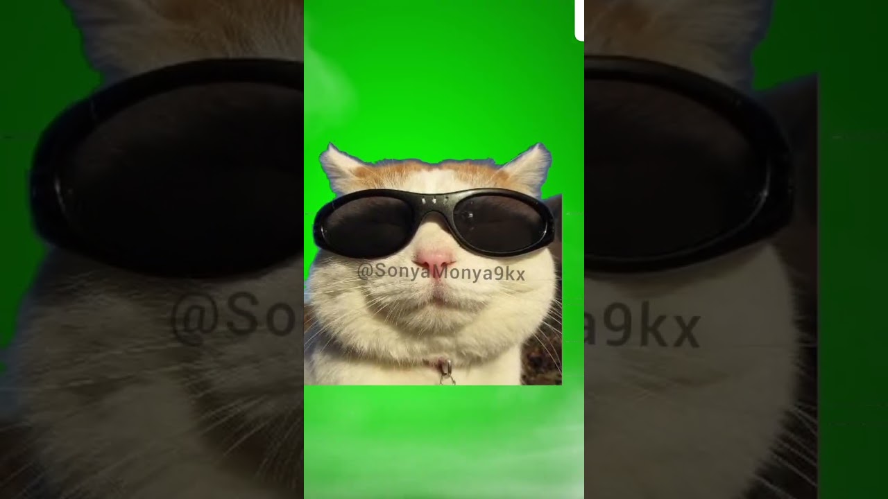 Фонк от Мони 