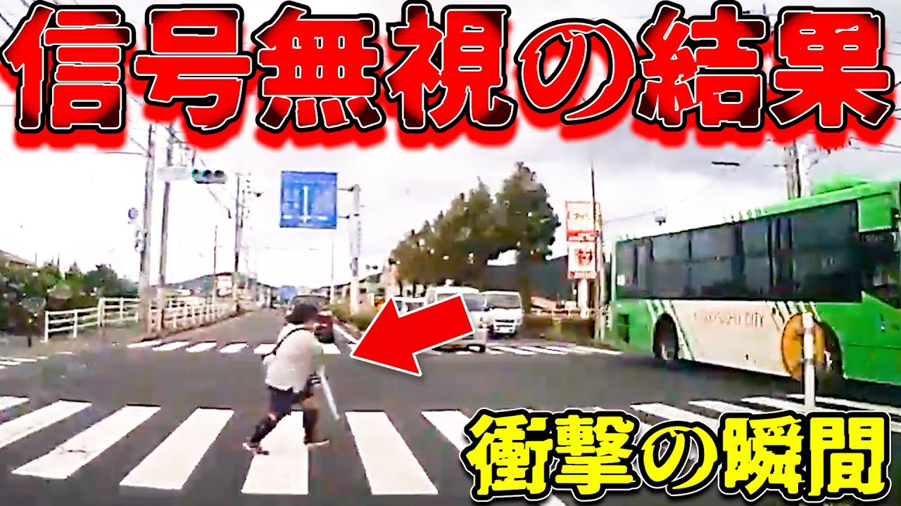【ドラレコ】お姉さん信号無視の結果衝撃の瞬間最新日本交通安全危険予知