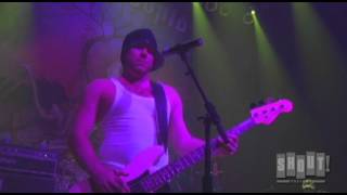 Watch Slightly Stoopid Till It Gets Wet video