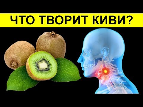 Что один КИВИ может сделать с организмом