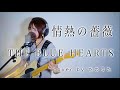 情熱の薔薇 / THE BLUE HEARTS cover by たのうた