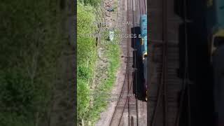 Optimizing Rail Logistics: Future Strategies & Trends